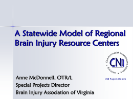 A Statewide Model of Regional Brain Injury Resource