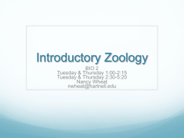 Introductory Zoology