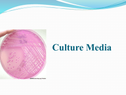 Culture Media - University of Mosul