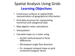 Spatial Analysis Using Grids - University of Texas at Austin