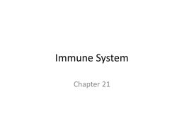 Immune System - Georgia Highlands College