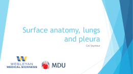 Surface anatomy, lung surface markings, pleural reflections
