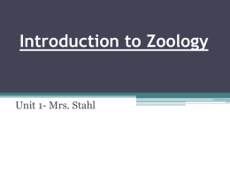 Introduction to Zoology - Manatee School for the Arts