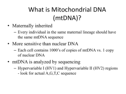 DNA: What, Where, When and Why From a Scientific Point of View