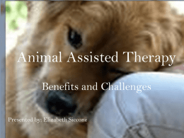 Animal Assisted Therapy relating to Patients and