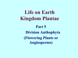 Life on Earth Kingdom Plantae - University of Nebraska Omaha