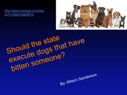 Should the state execute dogs that have bitten someone?