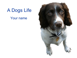 A Dogs Life template - Presentation Magazine
