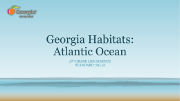 Georgia Habitats: Atlantic Ocean