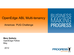 Progress OpenEdge Advanced Business Language Multi