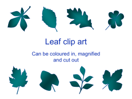 Leaf outline clipart - Presentation Magazine
