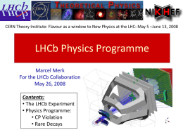 LHCb Physics Program
