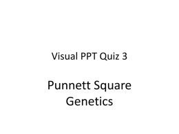 Visual PPT Quiz 3