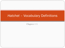Hatchet – Vocabulary Definitions