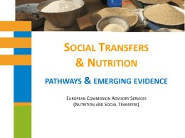 Social Transfers and Nutrition