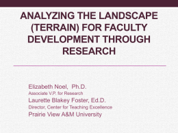 Analyzing the Landscape (Terrain) for Faculty Development