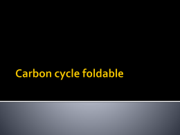 Carbon cycle foldable - Galena Park ISD Moodle