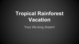 Tropical Rainforest Vacation - Mercer Island School District