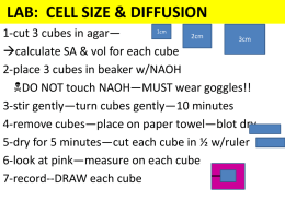 LAB: CELL SIZE & DIFFUSION