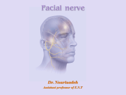 Facial nerve - دانشگاه علوم پزشکی مشهد