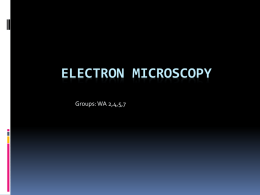 Electron Microscopy! - University of Northern Colorado