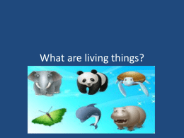 What are Animals - River Dell Middle School