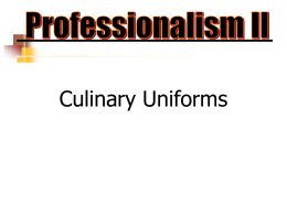 PowerPoint(tm) - Professionalism