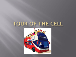 Tour Of the cell