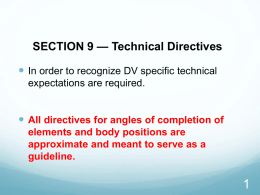 SECTION 9 — Technical Directives
