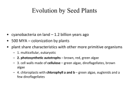 Plant Diversity I: Colonization by Land Plants