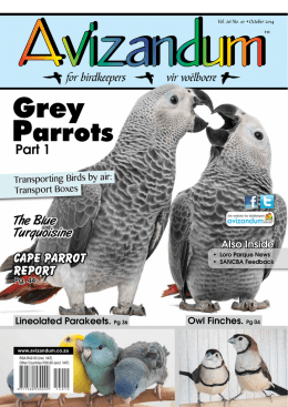 Parrots - Avizandum Birdkeeping Magazine