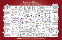 Bergamo II Mind Map