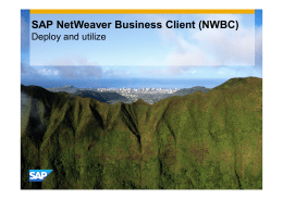 SAP NetWeaver Business Client (NWBC)
