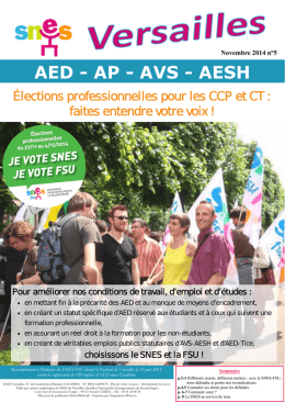 AED - AP - AVS - AESH - SNES