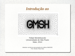 Sobre o Gmsh - ICMC - Universidade de São Paulo