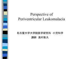 Perspective of Periventricular Leukomalacia