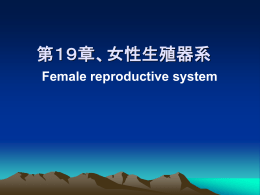 第19章、女性生殖器系