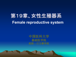 第19章、女性生殖器系