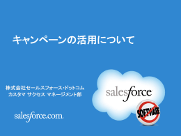 キャンペーンの作成 - Salesforce ユーザ向け活用支援サイト
