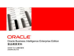 Oracle BI Server