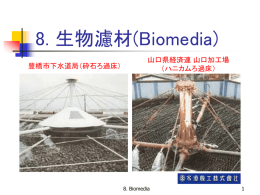 8. Biomedia