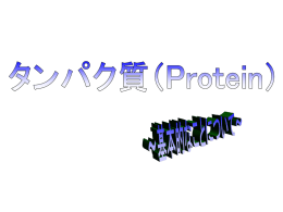タンパク質（Protein）