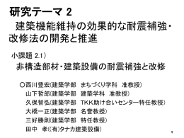2-1-2010UDM報告会PPT(西川).