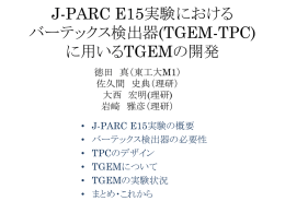 J-PARC E15実験における バーテックス検出器(TGEM