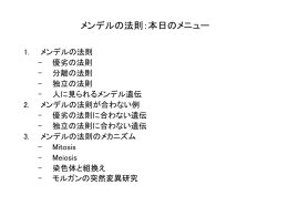 PowerPoint プレゼンテーション