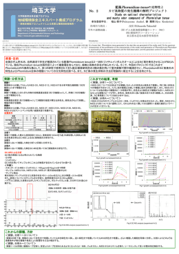 No．2 藍藻Phormidium tenueの光特性と カビ臭物質の発生機構の解明