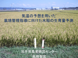 気温予想を用いた 水稲の生育量予測と栽培管理指導