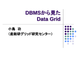 （コメント） DBMS/ストレージから見た Data Grid