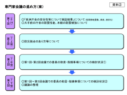 （2）専門家会議の進め方（案）