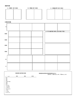 症例資料フォーマットA
